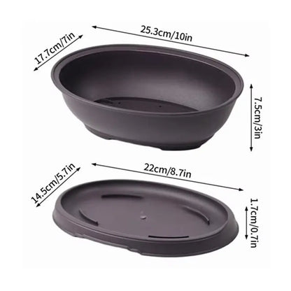 Pot Bonsaï Décoration Intérieure