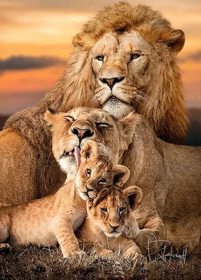 Tableau Moderne Famille Lion