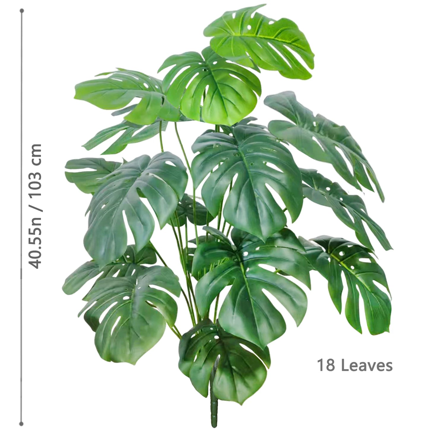 Plante Monstera  52-104cm