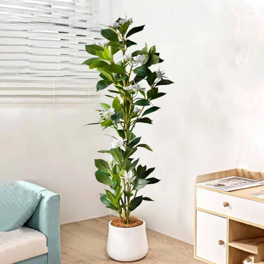 Plante  Artificielle Ficus
