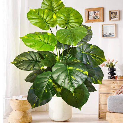 Plante Monstera  52-104cm