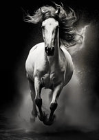 Tableau Moderne Art Animal