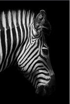 Tableau Moderne Art Animal