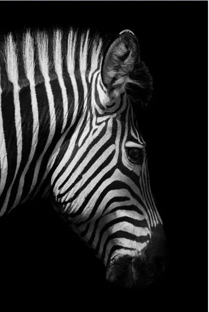 Tableau Moderne Art Animal