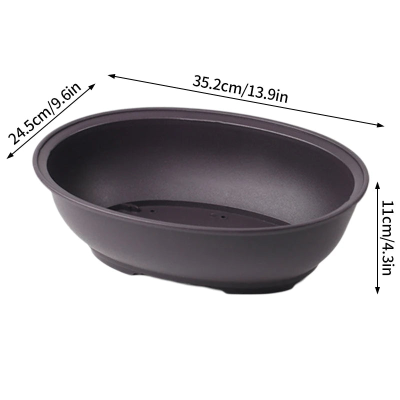 Pot Bonsaï Décoration Intérieure