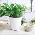 Pot de Fleurs Rod