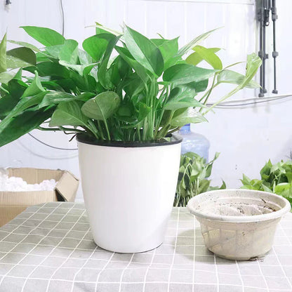 Pot de Fleurs Hydroponique