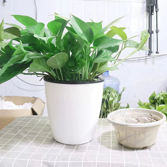 Pot de Fleurs Hydroponique