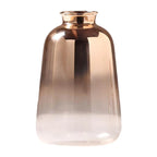 Vase en Verre Doré Transparent