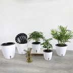 Pot de Fleur Auto Arrosant