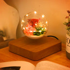 Pot de Fleurs Flottant
