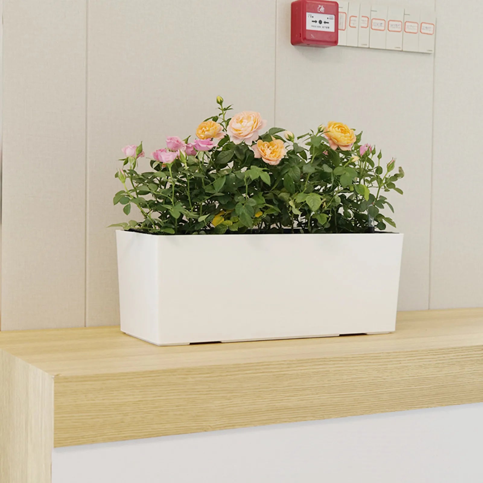 Pot de Fleur Rectangulaire