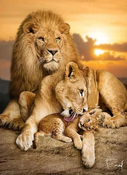Tableau Moderne Famille Lion