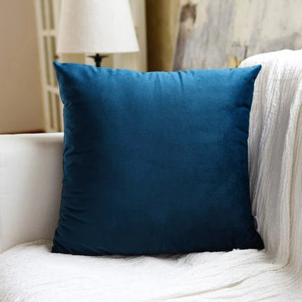 Housse de coussin en velours