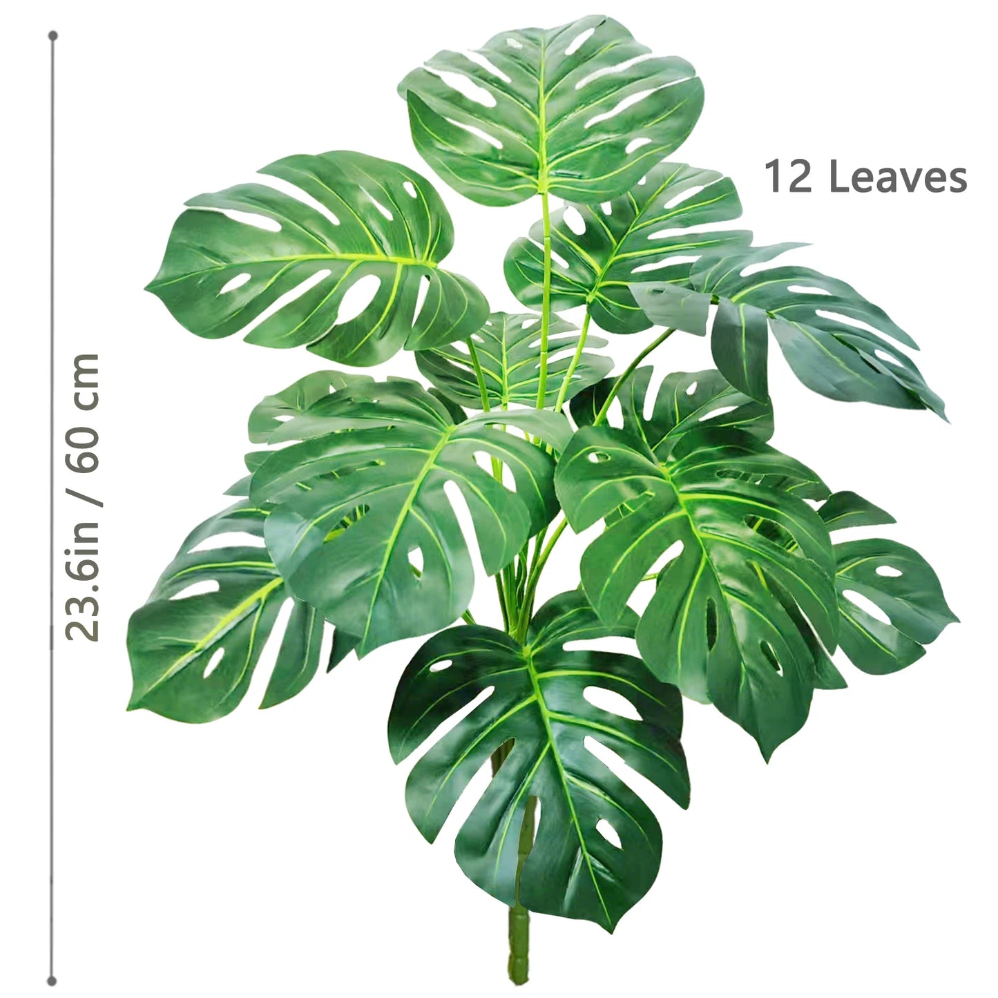 Plante Monstera  52-104cm