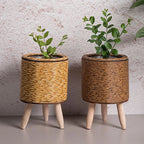 Pot de Fleur en Rotin