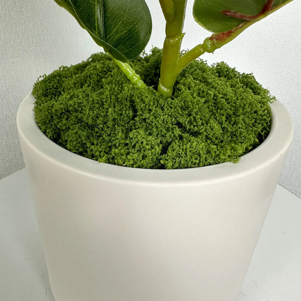 Pot de Fleur Décoratif