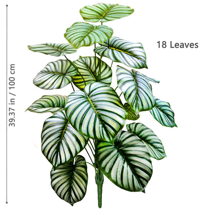 Plante Monstera  52-104cm