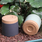 Pot de Fleur en Plastique