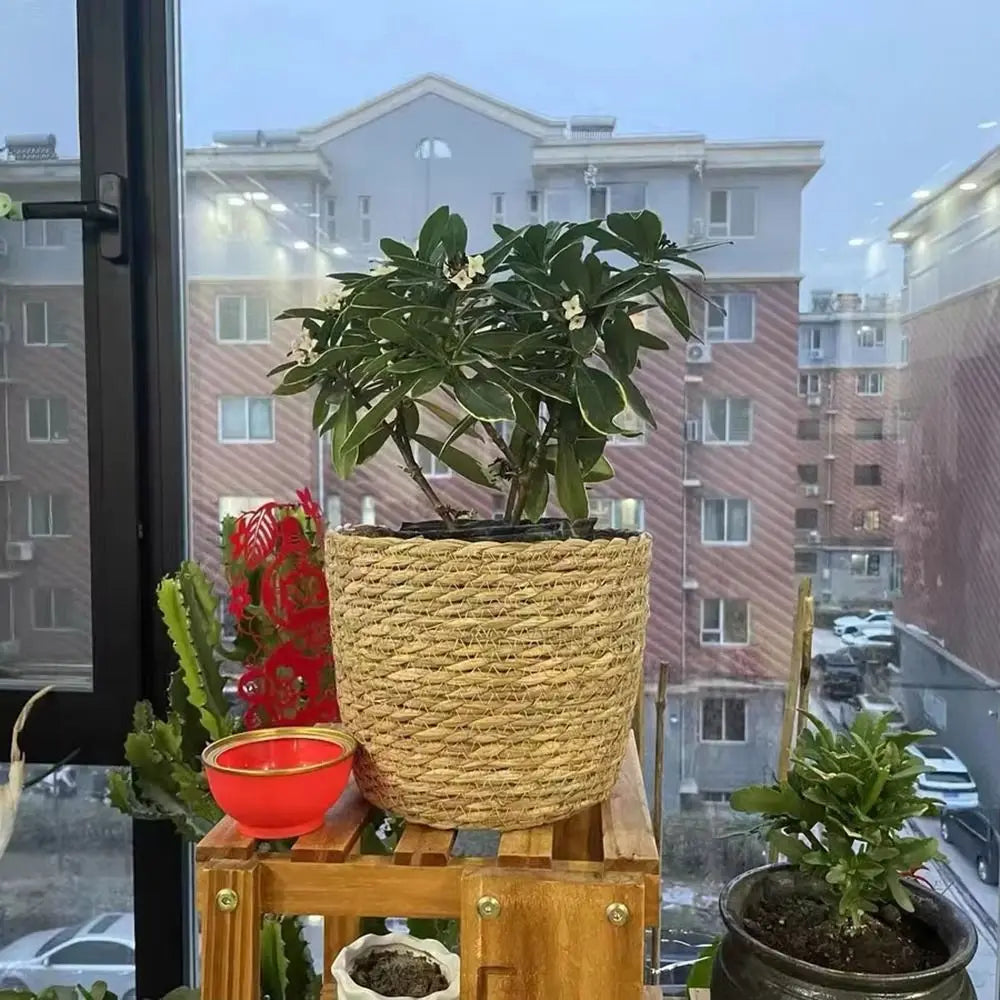 Pot Panier en Paille