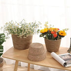 Pot Panier