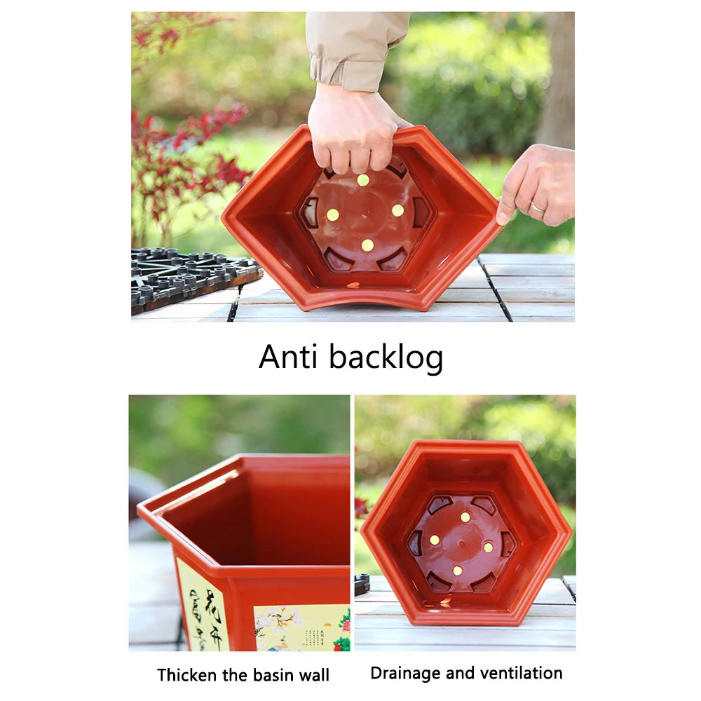 Pot de Fleur Hexagonal