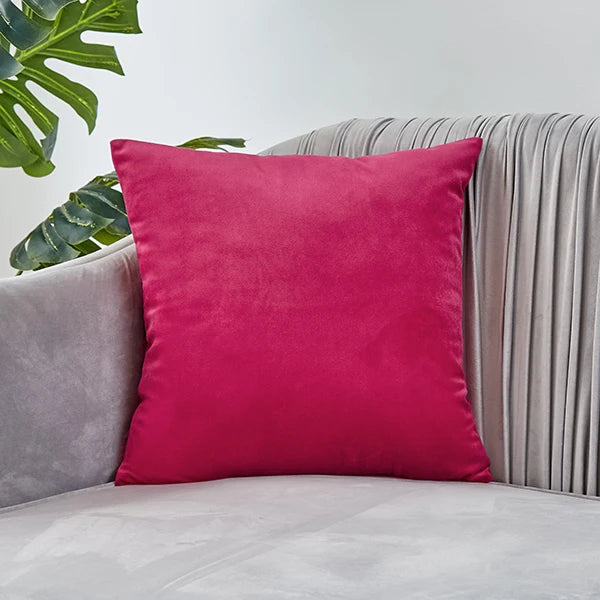 Housse de coussin en velours