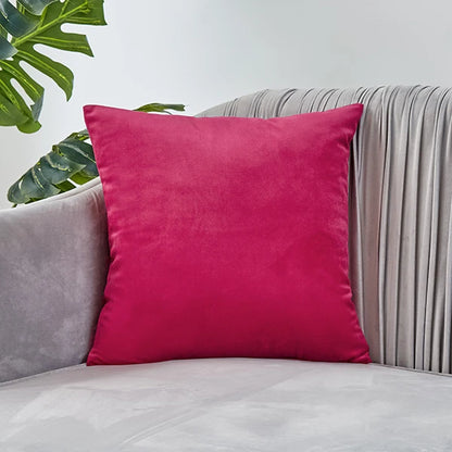 Housse de coussin en velours
