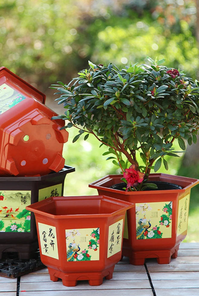 Pot de Fleur Hexagonal