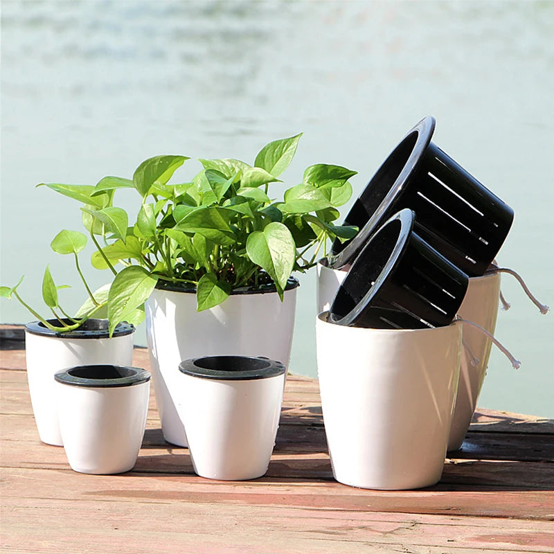 Pot de Fleurs Hydroponique