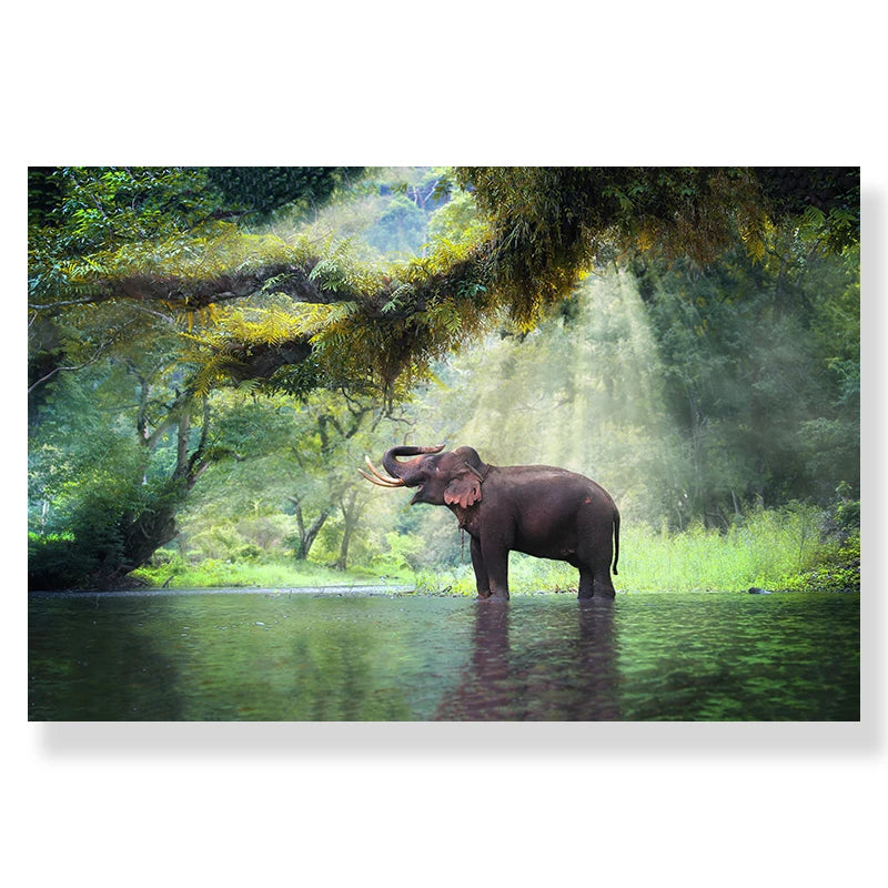 Tableau Moderne Art Nature