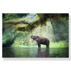 Tableau Moderne Art Nature