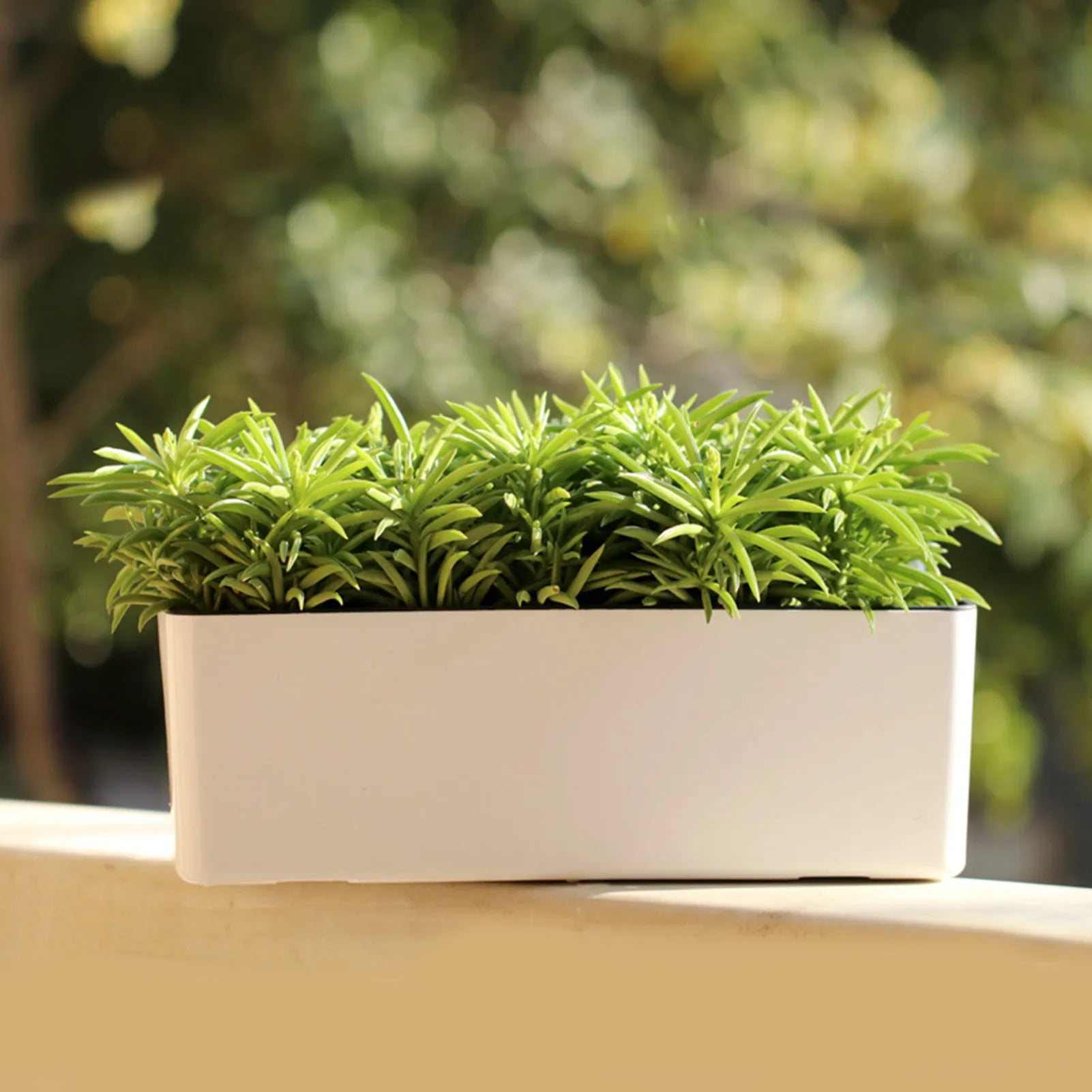 Pot de Fleur Rectangulaire