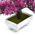Plante Artificielle Bonsaï