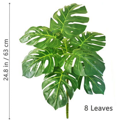 Plante Monstera  52-104cm