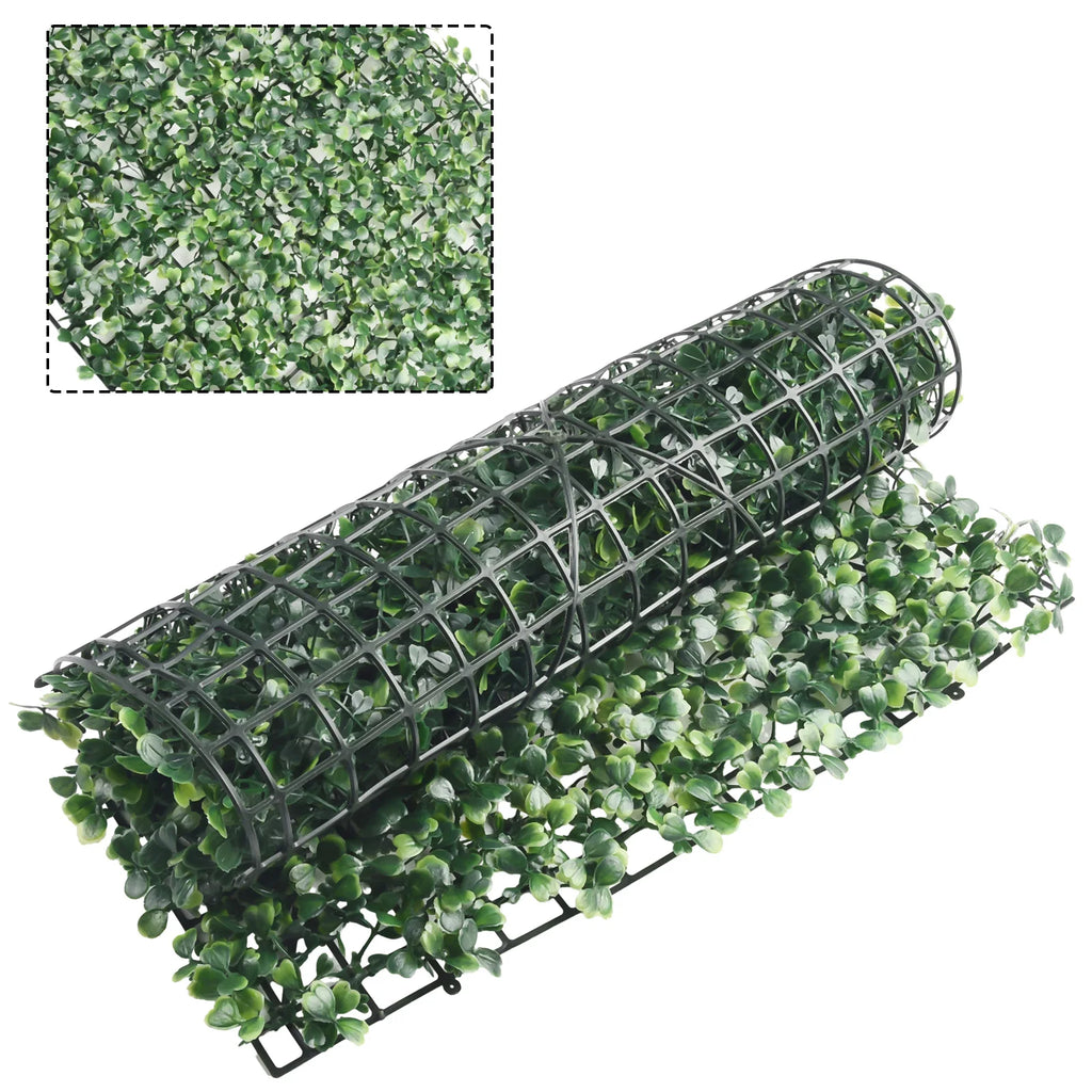 Plante Mur Végétal
