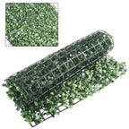 Plante Mur Végétal