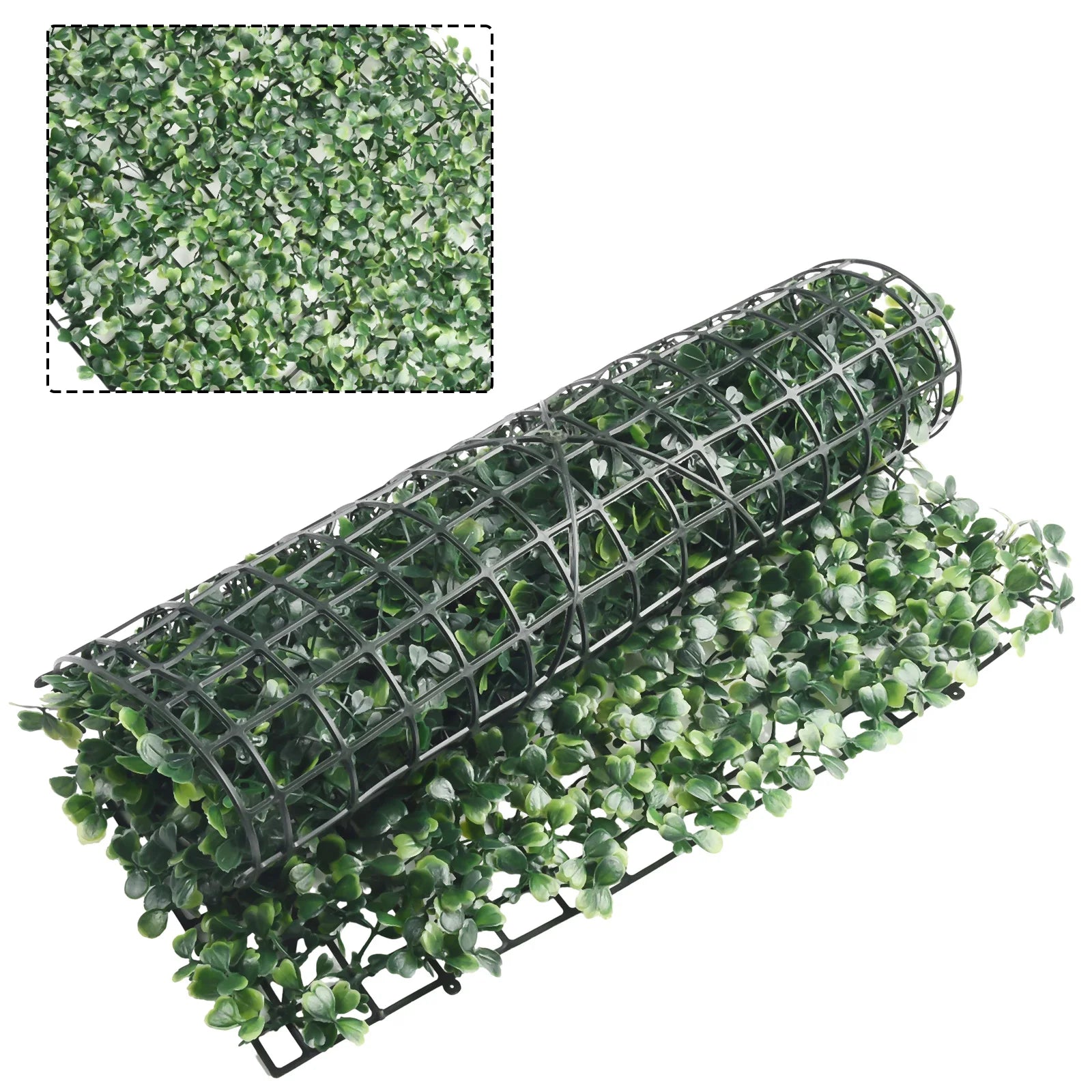 Plante Mur Végétal