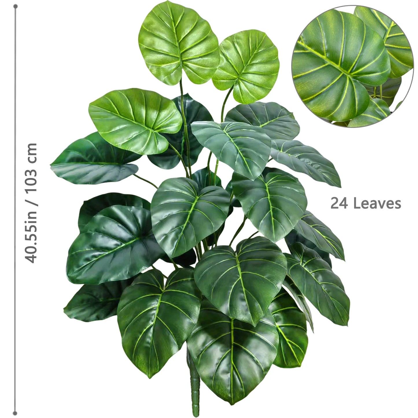 Plante Monstera  52-104cm