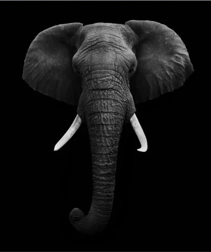 Tableau Moderne Art Animal