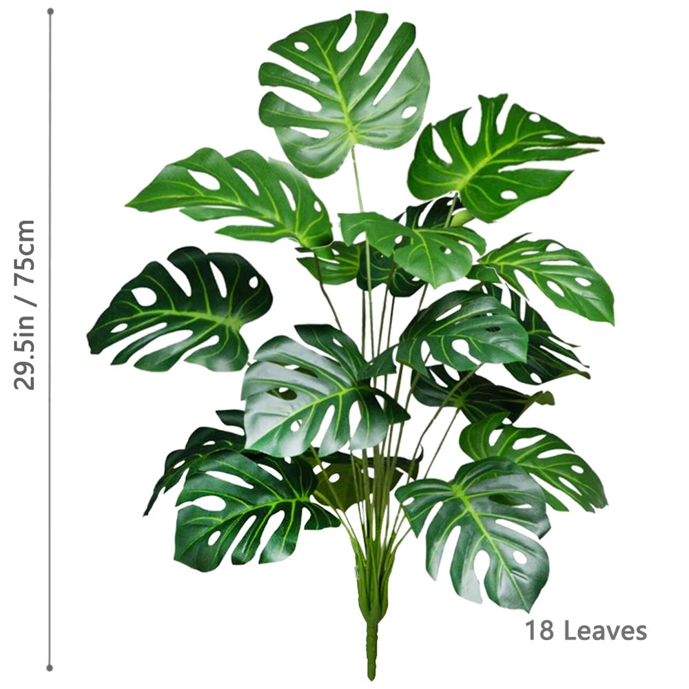 Plante Monstera  52-104cm