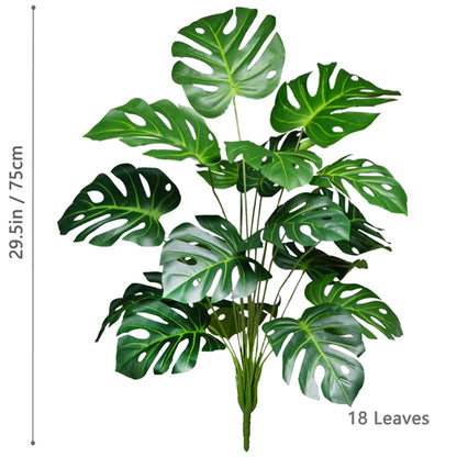 Plante Monstera  52-104cm