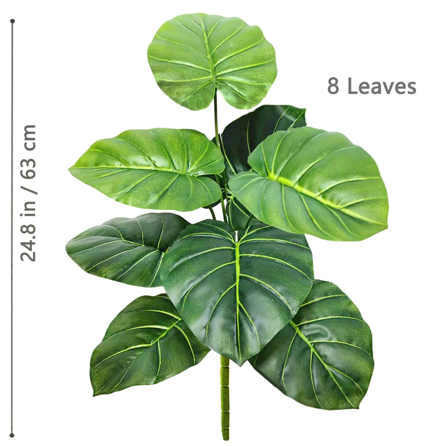 Plante Monstera  52-104cm
