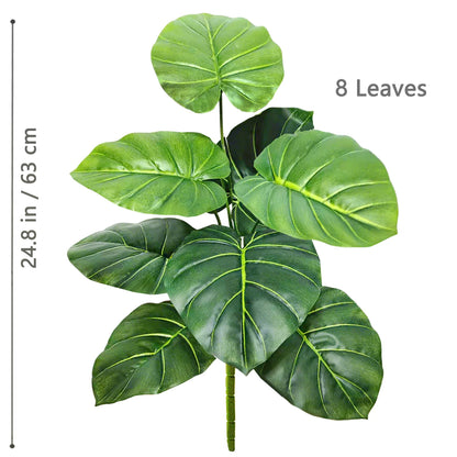 Plante Monstera  52-104cm