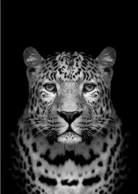 Tableau Moderne Art Animal