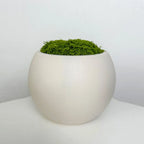 Pot de Fleur Décoratif
