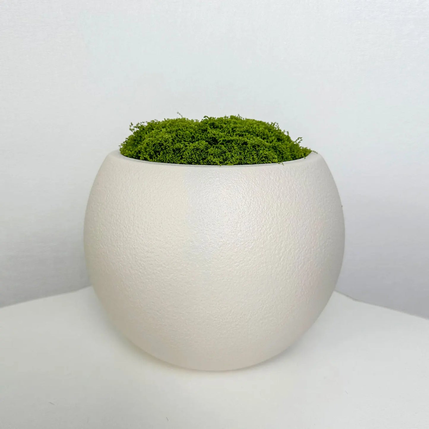 Pot de Fleur Décoratif