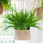 Plante  Artificielle Feuilles d'herbe de printemps