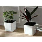 Pot Jardinière