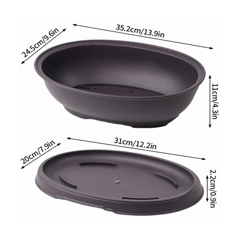 Pot Bonsaï Décoration Intérieure